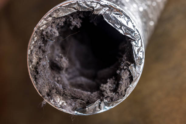 Best Best Air Duct Cleaning Near Me  in On Top Of The World Designated Place, FL